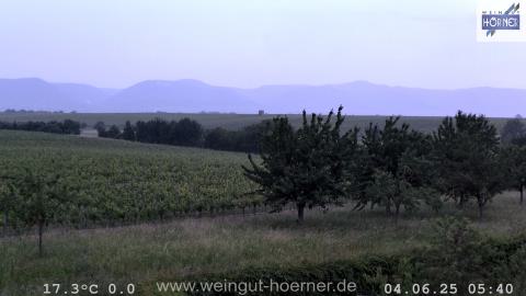 Webcam Hochstadt Pfalz aktuell Webcam Weinberge Hochstadt