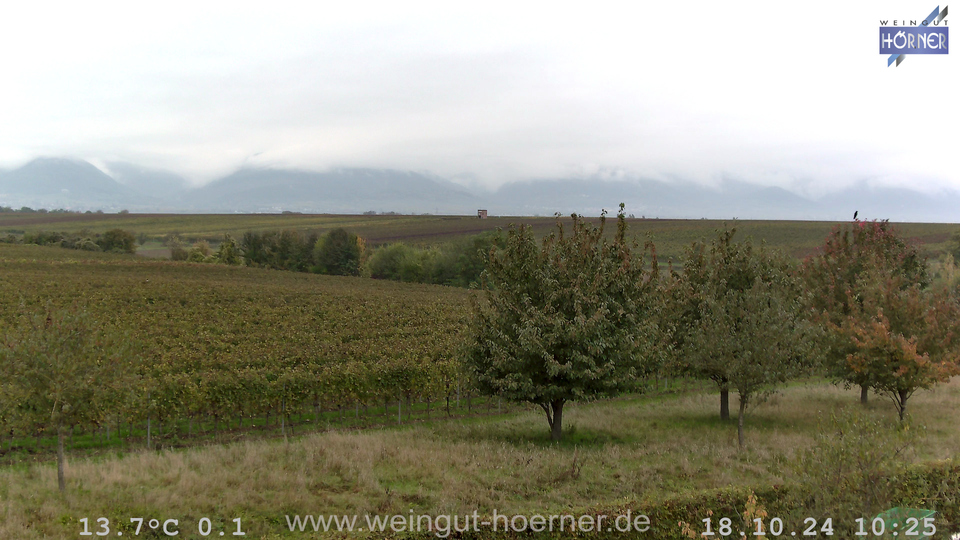 Webcam Weinberge Hochstadt