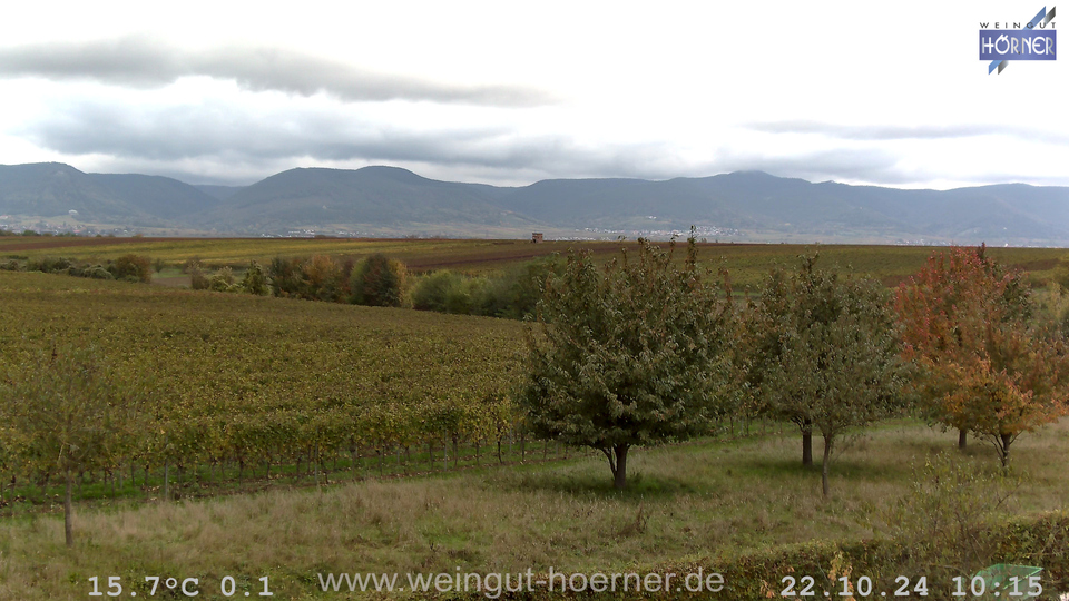 Webcam Weinberge Hochstadt