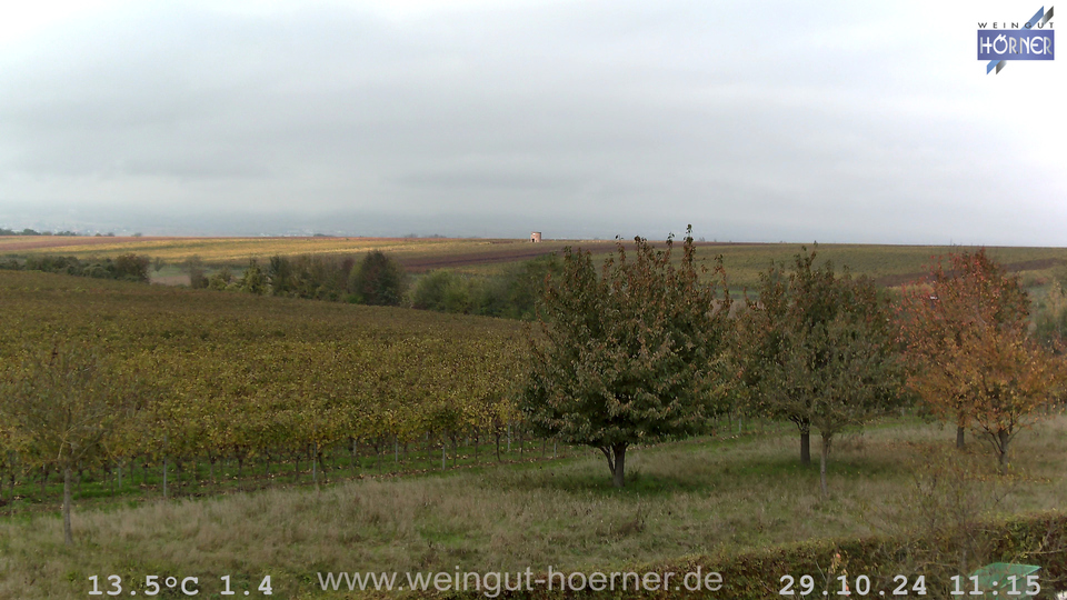 Webcam Weinberge Hochstadt