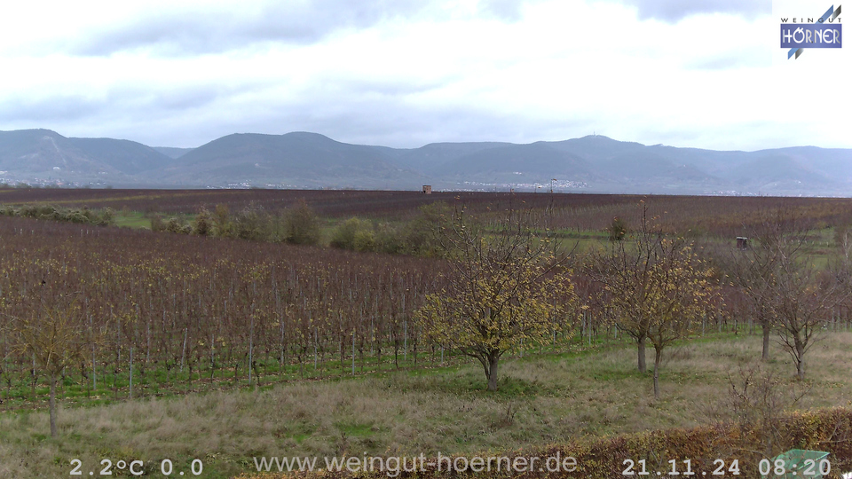 Webcam Weinberge Hochstadt