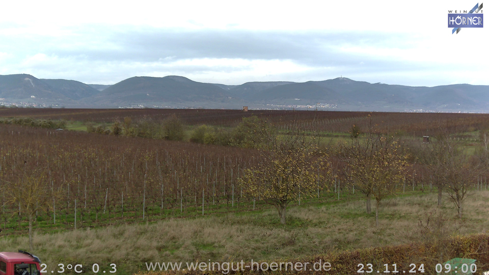 Webcam Weinberge Hochstadt