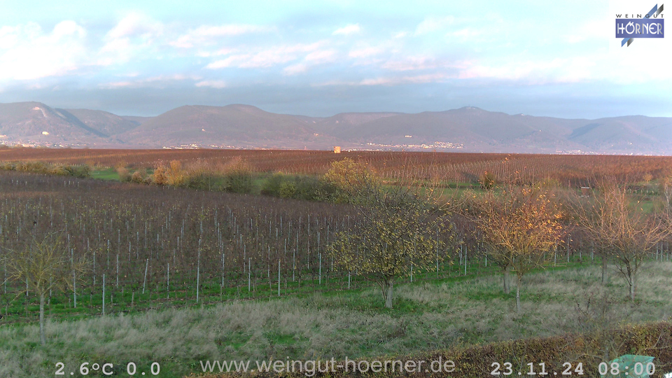 Webcam Weinberge Hochstadt