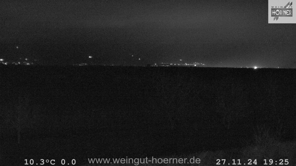 Webcam Weinberge Hochstadt