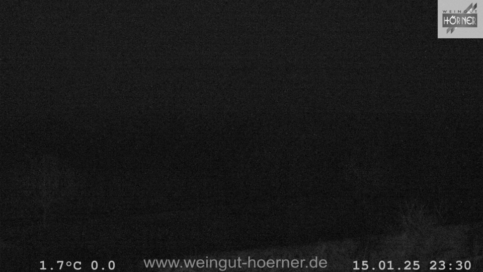 Webcam Weinberge Hochstadt